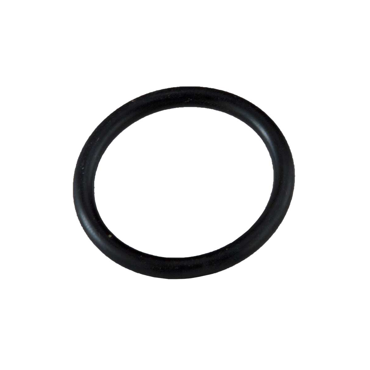 ASSENMACHER O-ring