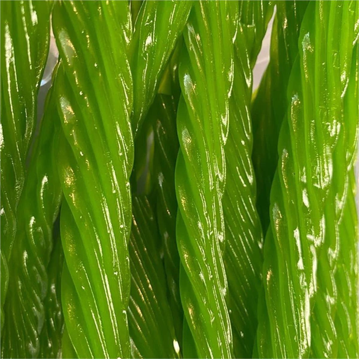 ozfwhqmvebvwxlsbiwlyfj