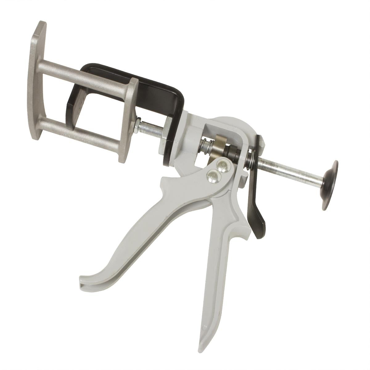 vejzsbsvjieqzevquqggvc